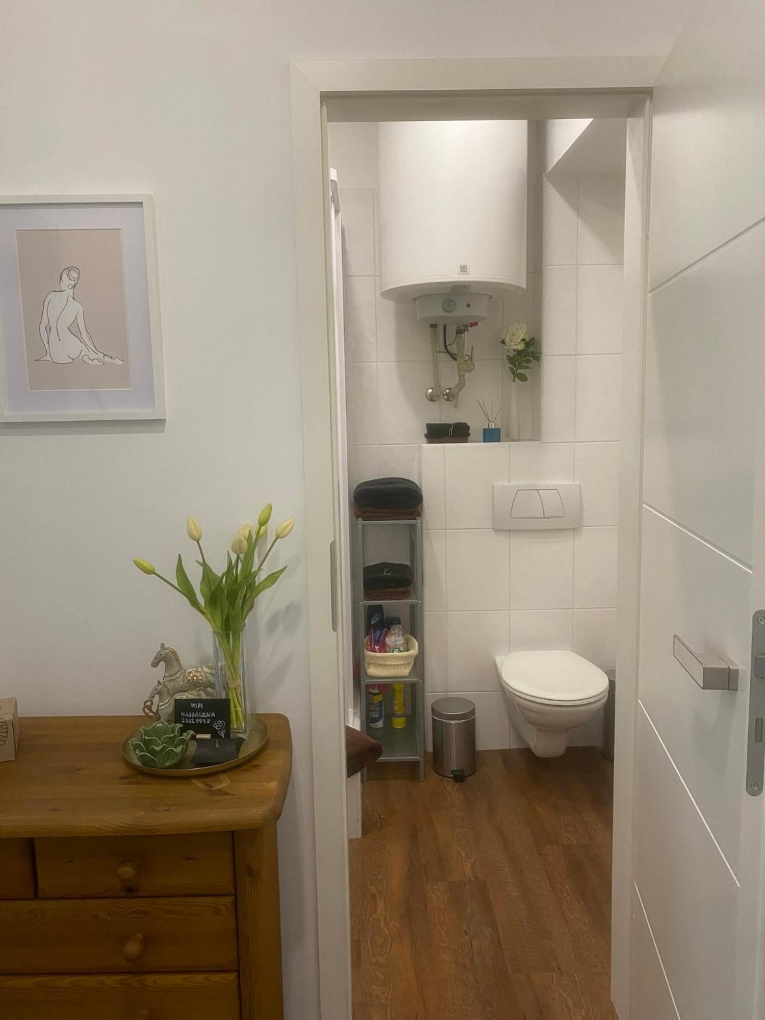 Apartment Apartman 2+kk, 50 M2 V Klidne Lokalite. 10 Min Od Centra Prahy. Prague
